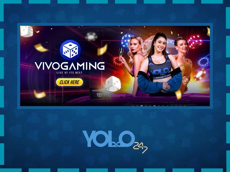 Yolo 247 app - mobile online casino