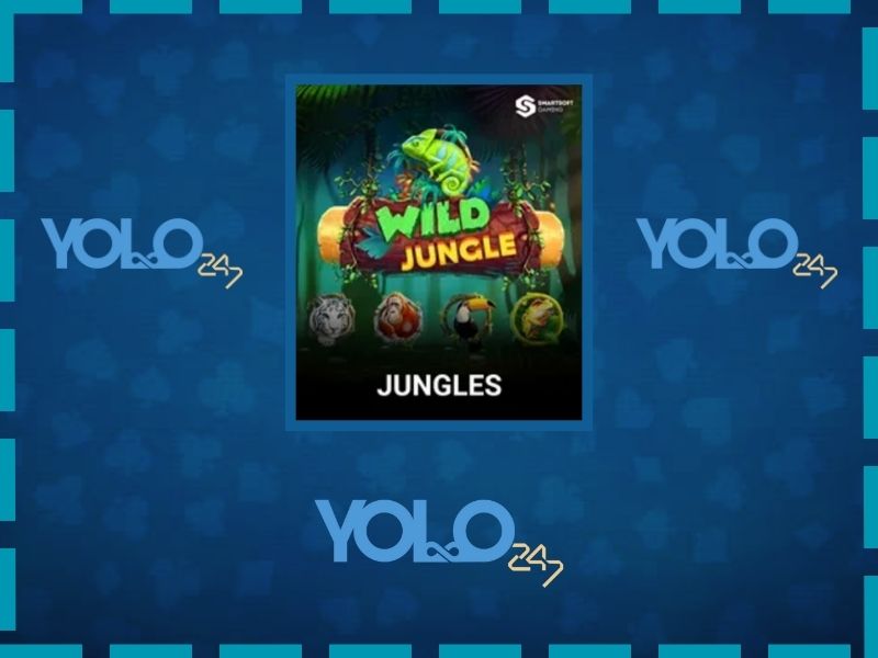 yolo247 official website